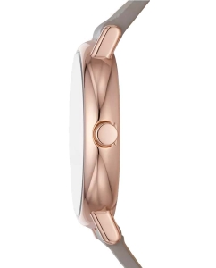 Купить Наручные часы Skagen SKW3060  в E-mobi