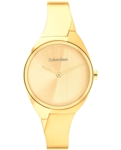 Купить Наручные часы Calvin Klein 25200235 в E-mobi