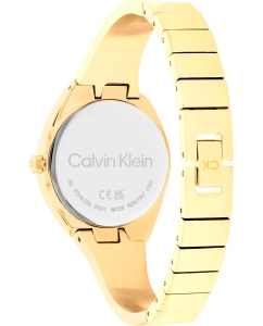 Купить Наручные часы Calvin Klein 25200235  в E-mobi