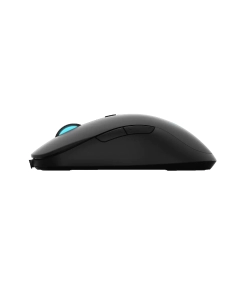 Купить Проводная мышь Rapoo V16RGB черный  в E-mobi