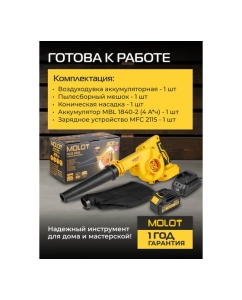 Купить Воздуходувка аккумуляторная MOLOT MCB 1816 XLT Lite SET ЦЗ-2775017064  в E-mobi