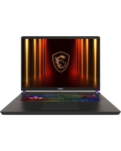 Купить Ноутбук MSI Vector 17 HX AI A2XWIG-063XRU (9S7-17S372-063) Cosmos Gray 17