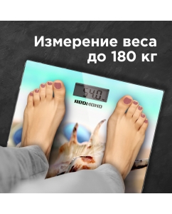 Купить Весы напольные Redmond RS-733 Grey  в E-mobi