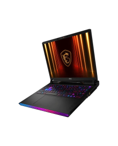 Купить Ноутбук MSI Raider 16 HX AI A2XWHG-814XRU (9S7-15M361-814-FreeDOS) Core Ultra 7 255HX 32Gb SSD1Tb NVIDIA GeForce RTX5070Ti 12Gb IPS QHD+ black  в E-mobi