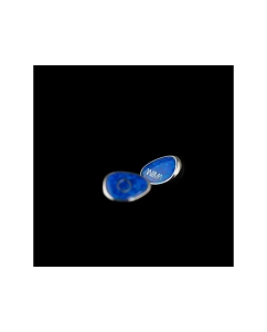 Купить Lime Ears Anima V2  в E-mobi