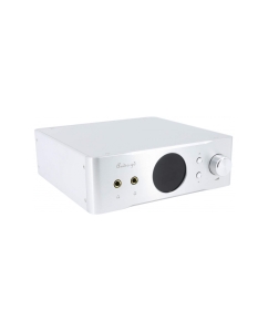 Купить Audio-GD R-29  в E-mobi