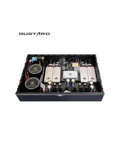 Купить Gustard R30  в E-mobi