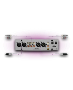 Купить iFi Audio Pro iCAN Studio  в E-mobi