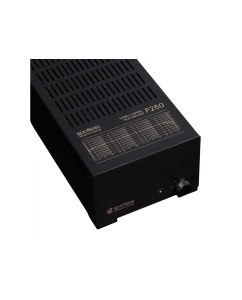 Купить Spotless Audio P250 Monoblock  в E-mobi