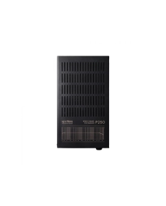 Купить Spotless Audio P250 Monoblock  в E-mobi