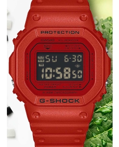Купить Японские наручные часы Casio G-SHOCK DW-5600RRB-4 с хронографом  в E-mobi