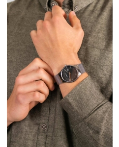 Купить Наручные часы Bering ber-11938-007  в E-mobi