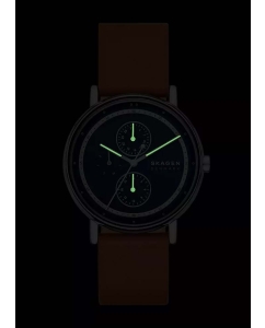 Купить Наручные часы Skagen SKW6943  в E-mobi