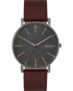 Купить Наручные часы Skagen SKW6860 в E-mobi