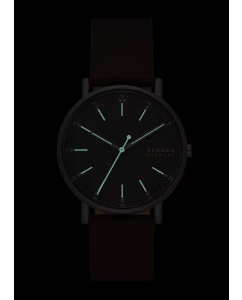 Купить Наручные часы Skagen SKW6860  в E-mobi