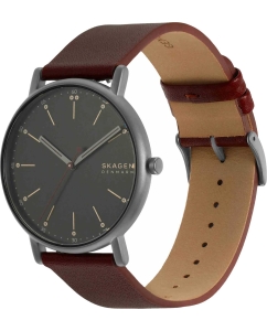 Купить Наручные часы Skagen SKW6860  в E-mobi