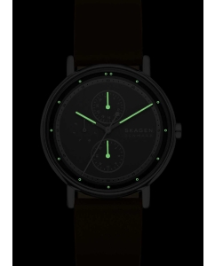 Купить Наручные часы Skagen SKW6941  в E-mobi