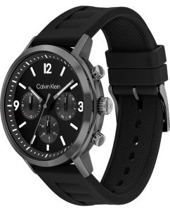 Купить Наручные часы Calvin Klein 25200461  в E-mobi