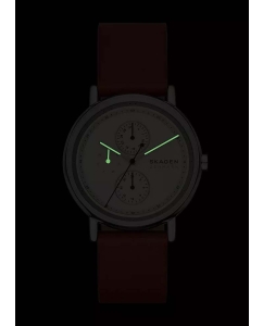 Купить Наручные часы Skagen SKW6942  в E-mobi
