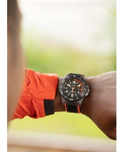 Купить Наручные часы Timex TW2V66100  в E-mobi