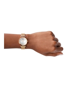 Купить Наручные часы Emporio Armani AR1956  в E-mobi