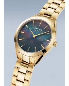 Купить Наручные часы Bering ber-17331-732  в E-mobi