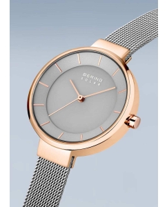 Купить Наручные часы Bering ber-14631-369  в E-mobi