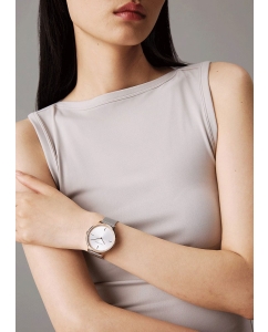 Купить Наручные часы Calvin Klein 25100006  в E-mobi