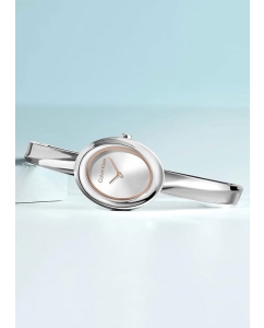Купить Наручные часы Calvin Klein 25100055  в E-mobi