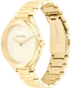 Купить Наручные часы Calvin Klein 25100048  в E-mobi