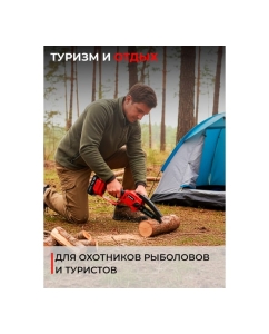 Купить Пила цепная аккумуляторная Ставр (18 В, шина 15 см, BL, 1х2.0 Ач) STAVR SCS 18BL-15-1K, 9060100053  в E-mobi