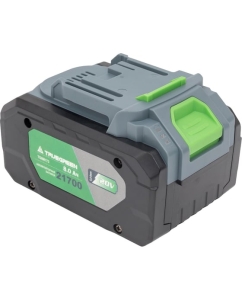 Купить Аккумулятор 8.0 А*ч TRUEGREEN TG8M173  в E-mobi