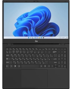 Купить Ноутбук iRU Planio 15ING (2058904) 15.6", IPS, Intel N100 0.8ГГц, 4 ядра, 8ГБ 512ГБ SSD, Intel Iris Xe graphics, Free DOS, черный  в E-mobi