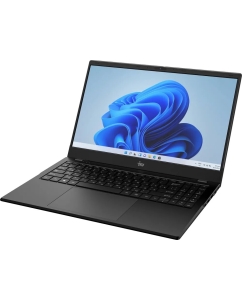 Купить Ноутбук IRU Planio 15ING (2058911) N100 8Gb SSD256Gb Intel Iris Xe graphics 15.6" IPS FHD (1920x1080) Free DOS black 6000mAh  в E-mobi