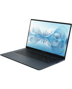 Купить Ноутбук MAIBENBEN Medio M17A (M17A-R758UMF1SHURE1-Win11) Ryzen 7 5825U 16Gb SSD 512Gb AMD Radeon Graphics 17,3 FHD IPS Cam 45Вт*ч Синий  в E-mobi
