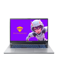 Купить Ноутбук Machenike L17 Satellite Plus (JJ00GE00JRU) в E-mobi