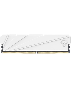 Купить Оперативная память Netac (NTSSD4P32SP-16W), DDR4 1x16Gb, 3200MHz в E-mobi