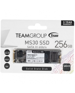 Купить 256 ГБ SSD M.2 накопитель Team Group MS30 [TM8PS7256G0C101] в E-mobi