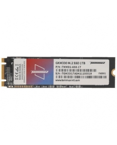 Купить 1000 ГБ SSD M.2 накопитель Tammuz GKM330 [TGM301TBA58] в E-mobi