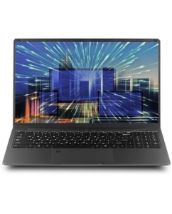 Ноутбук ECHIPS Next NB15A-M-1 15.6", IPS, Intel Celeron N5095, 4-ядерный, 12ГБ LPDDR4, 512ГБ SSD,  Intel UHD Graphics, серый  | emobi
