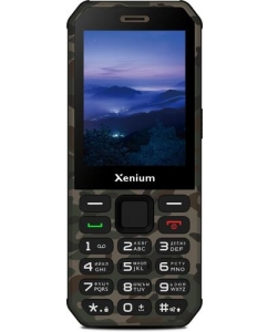 Купить Сотовый телефон Xenium X300 зеленый в E-mobi