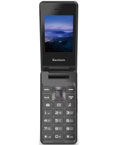 Сотовый телефон Xenium X600 серый | emobi