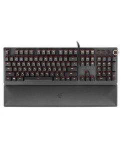 Купить Клавиатура проводная Razer Huntsman Elite [RZ03-01870700-R3R1] в E-mobi