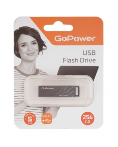 Купить Память USB Flash 256 ГБ GoPower [00-00027356] в E-mobi