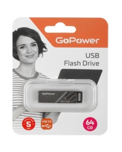 Купить Память USB Flash 64 ГБ GoPower [00-00025967] в E-mobi