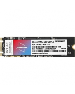 Купить 256 ГБ SSD M.2 накопитель Tammuz GKM330 [TGM30256A58] в E-mobi