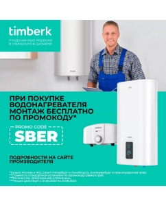 Купить Водонагреватель накопительный Timberk T-WSS30-FS40D-V  в E-mobi