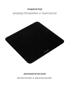 Купить Весы напольные Pioneer PBS1005 черный  в E-mobi