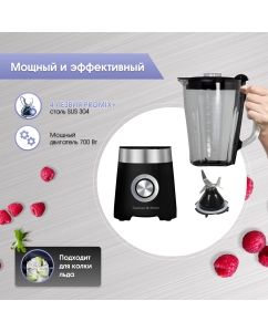 Купить Блендер Zigmund &amp; Shtain BS-443 D черный  в E-mobi