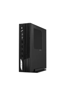Купить Настольный компьютер MSI PRO DP21 13M-607RU черный (9S6-B0A421-666)  в E-mobi